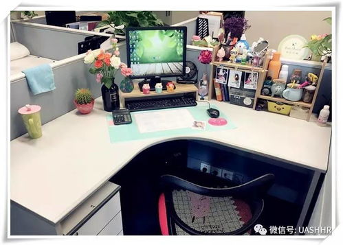 上海亞聯(lián)財(cái) 辦公桌diy設(shè)計(jì)大賽 投票評(píng)選火熱開啟啦